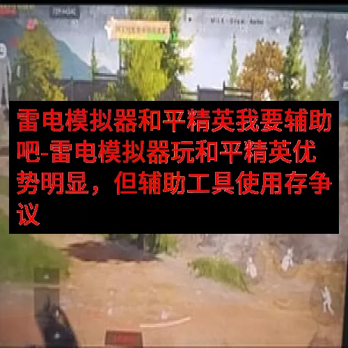 雷电模拟器和平精英我要辅助吧-雷电模拟器玩和平精英优势明显，但辅助工具使用存争议